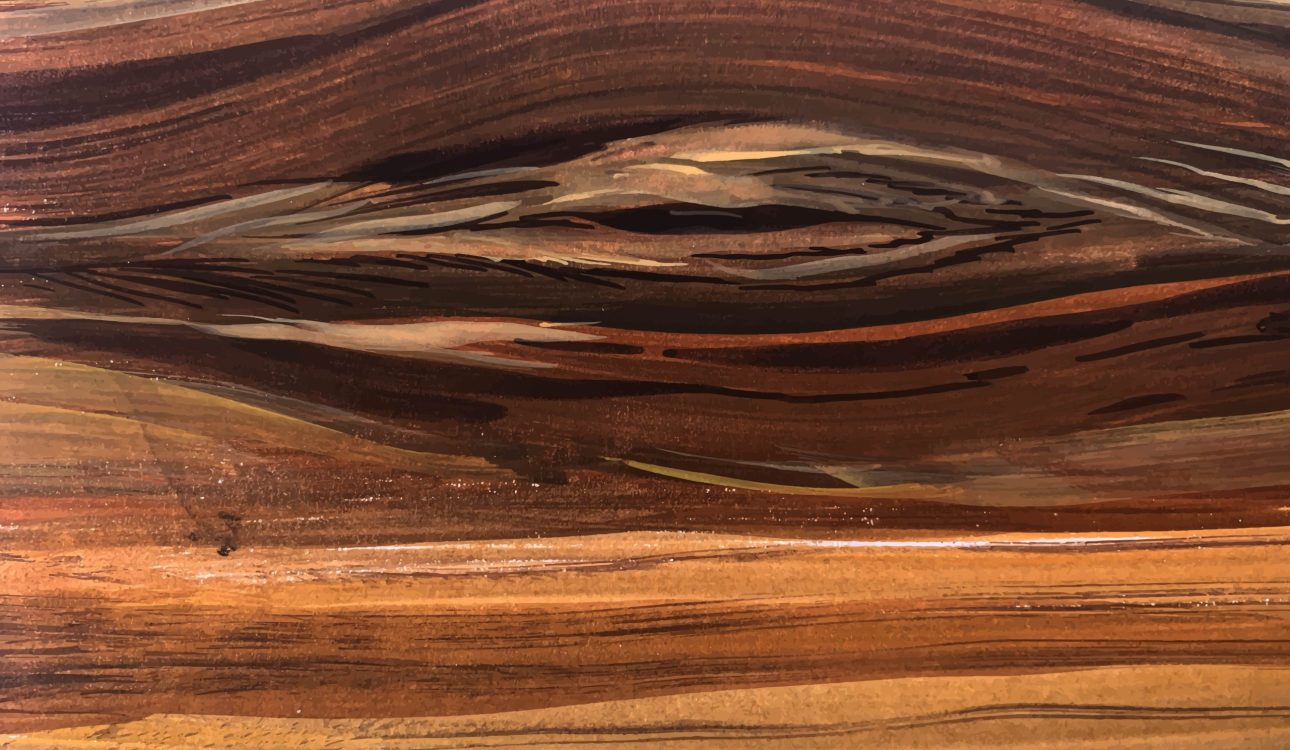 Kayu Sonokeling