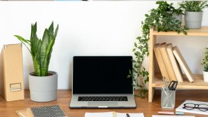 Furniture-Custom