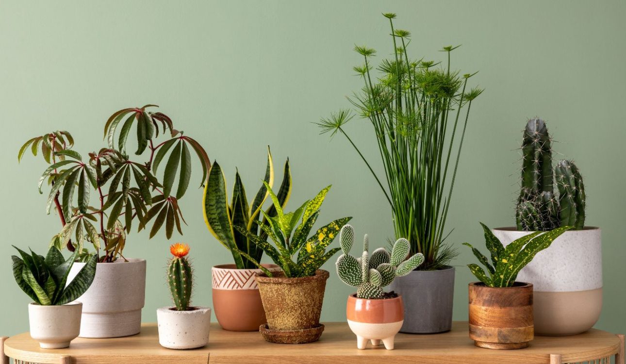 Jasa Interior Custom